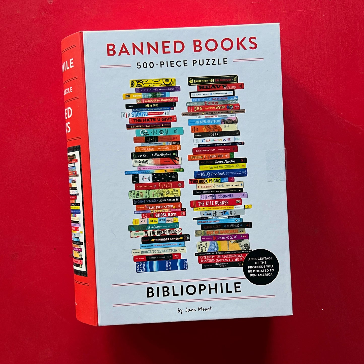 Banned Books Puzzle