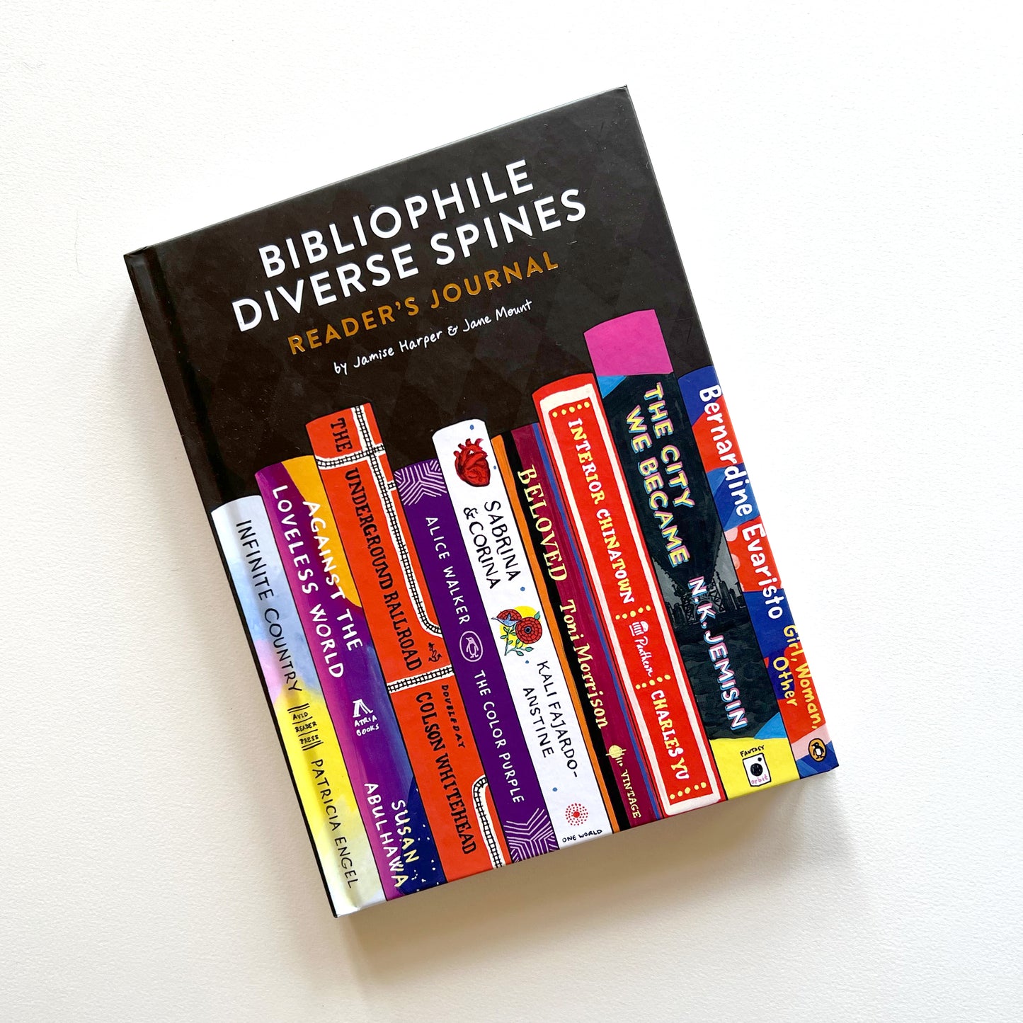 Bibliophile Diverse Spines Reader's Journal