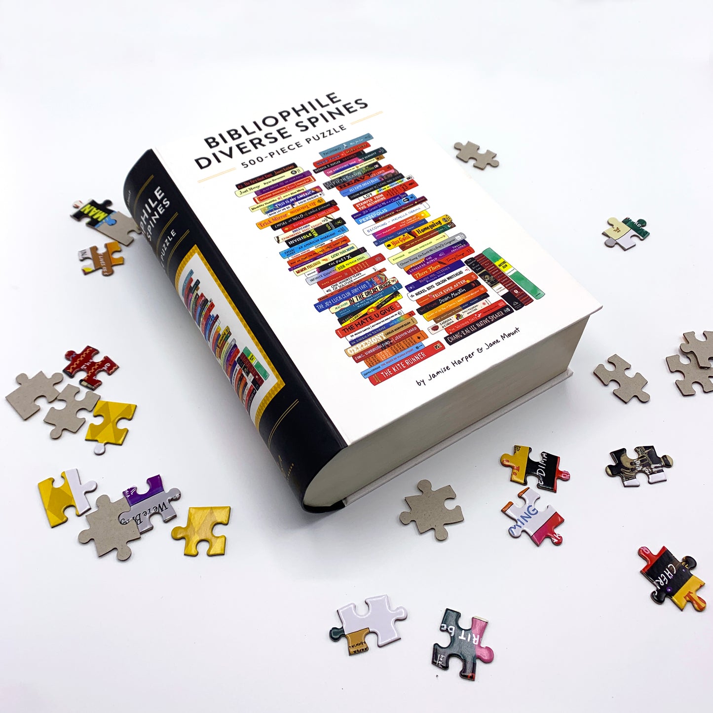 Bibliophile Diverse Spines Puzzle